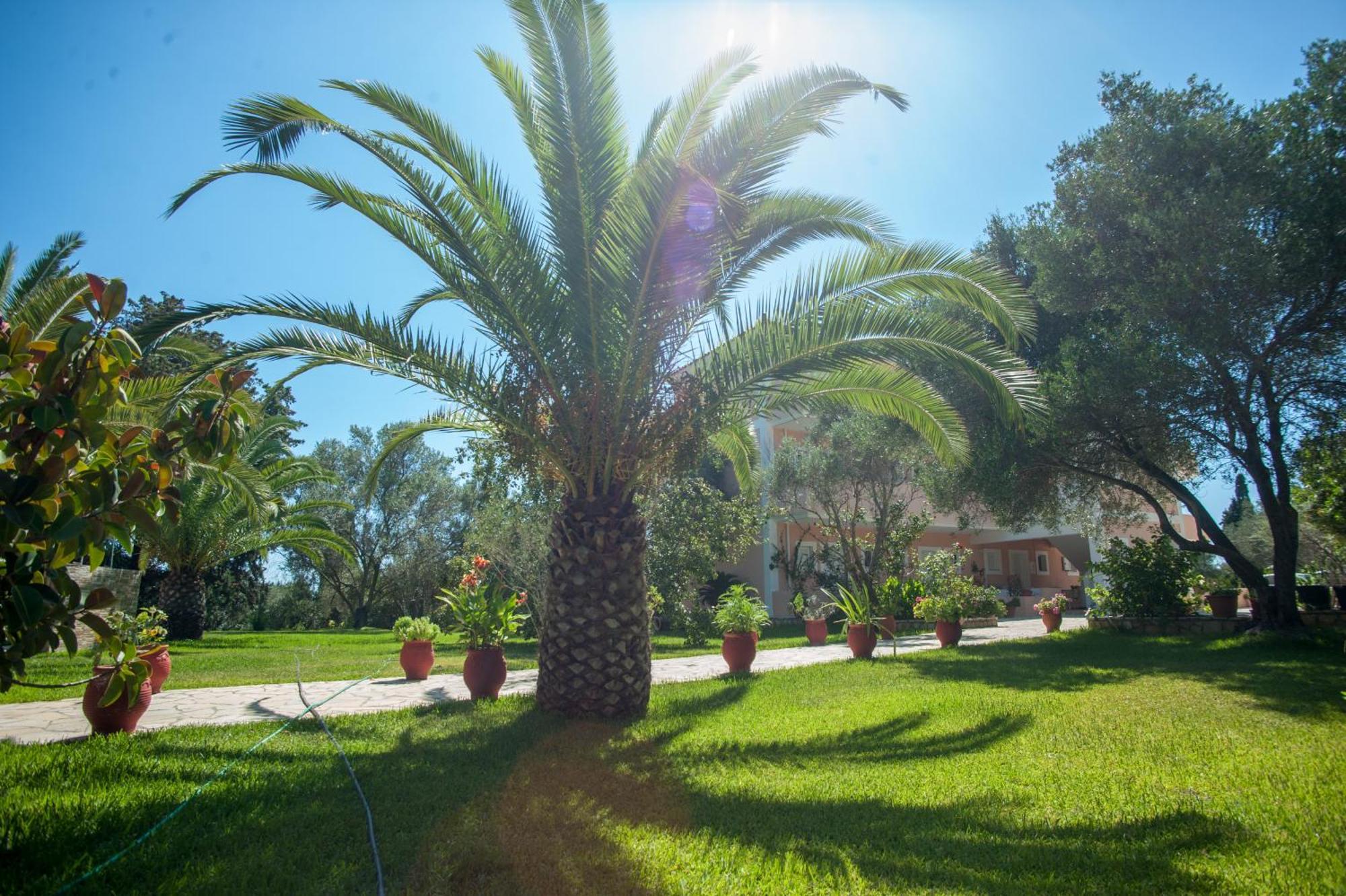 Helena Inn Kefalonia Island Eksteriør billede